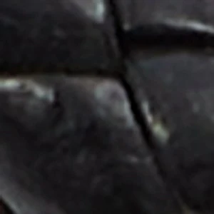 Danniell - Image 2