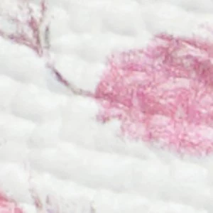 Darlina - Image 7