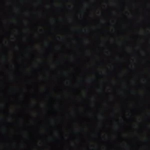 Debonair - Image 10