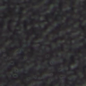 Deniels - Image 9