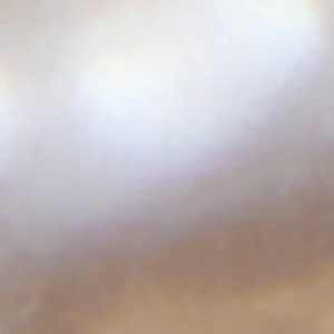 Devotted - Image 2