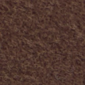 Doriana - Image 7