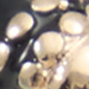 Eildon - Image 2