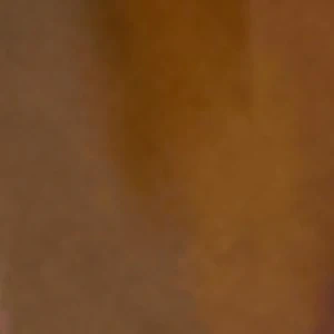 Ellyse - Image 3