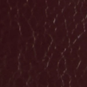 Elyne - Image 7