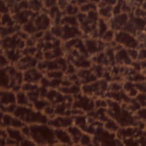 Elyne-wc - Image 7