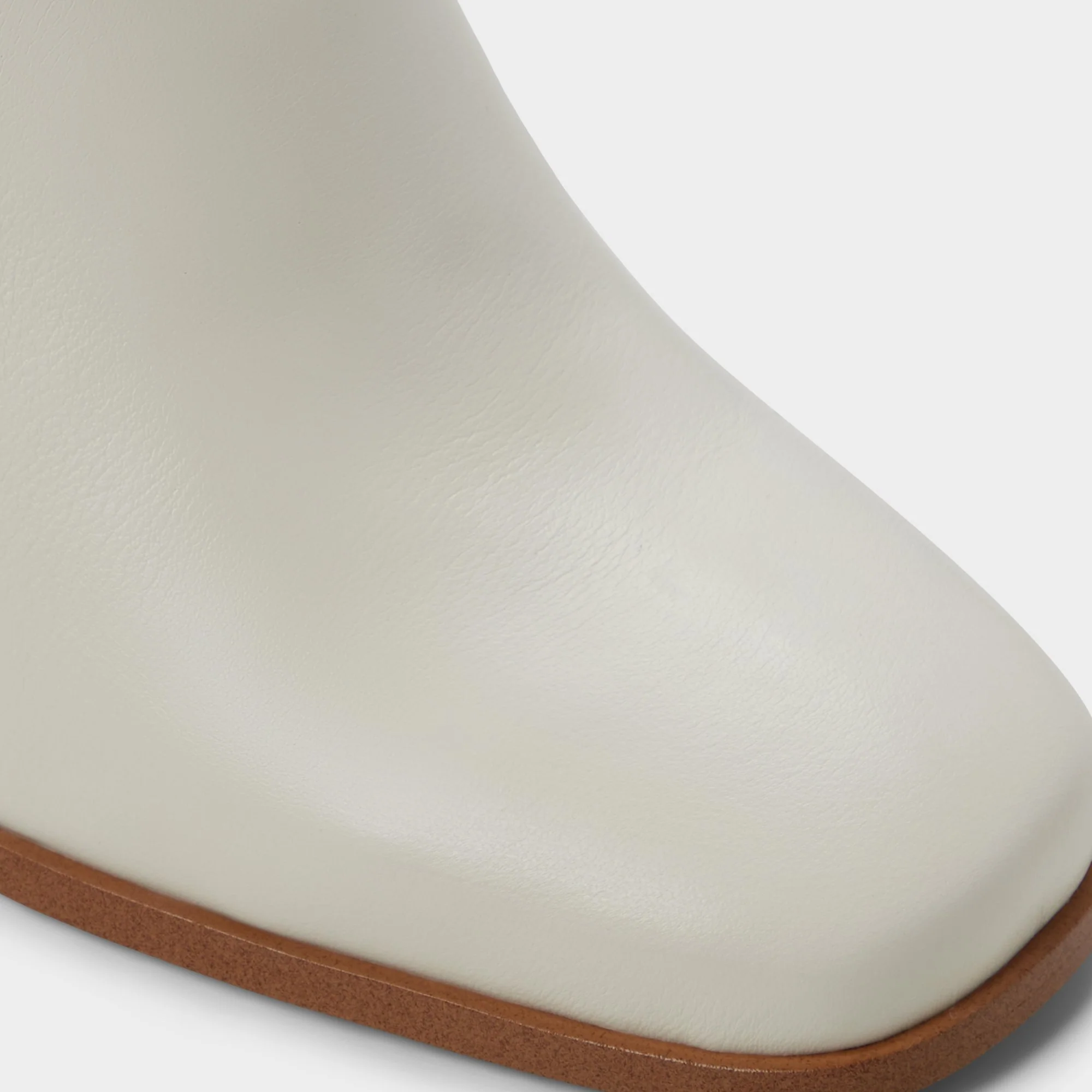 Elyze - Image 6