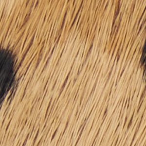 Esmara - Image 3