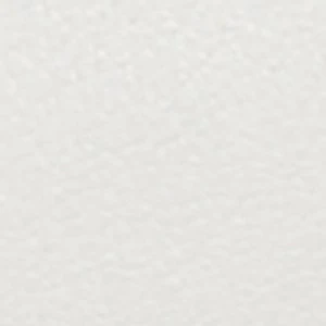 Evielilyyx - Image 6