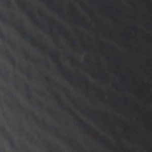 Feronia - Image 7