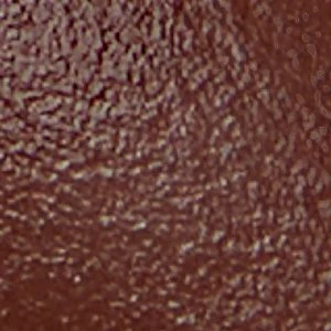 Feronia - Image 7