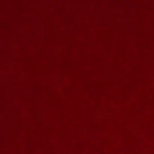 Festibow - Image 4