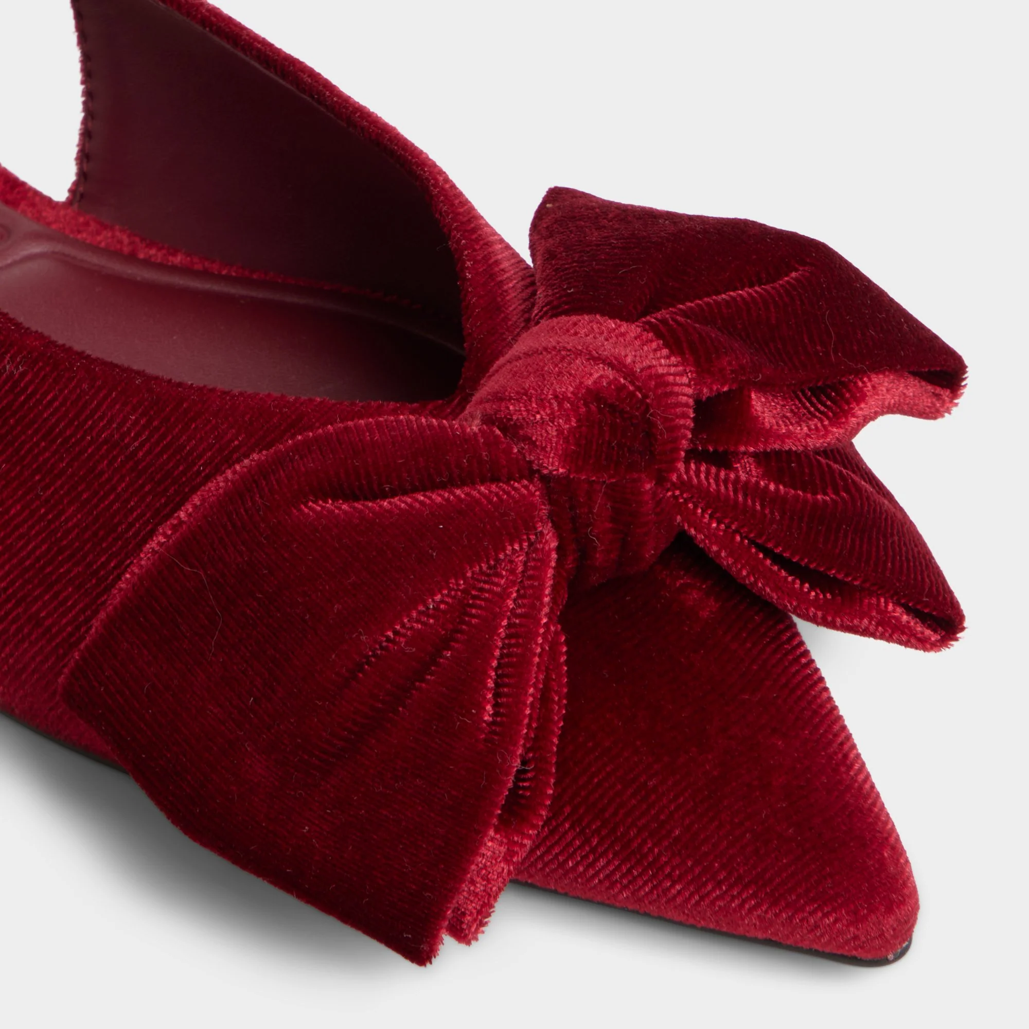 Festive - Image 5