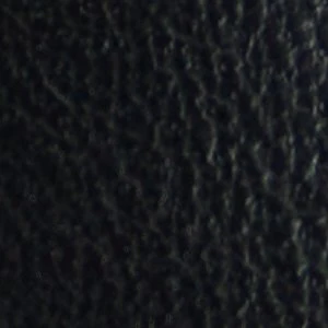 Figgy - Image 8