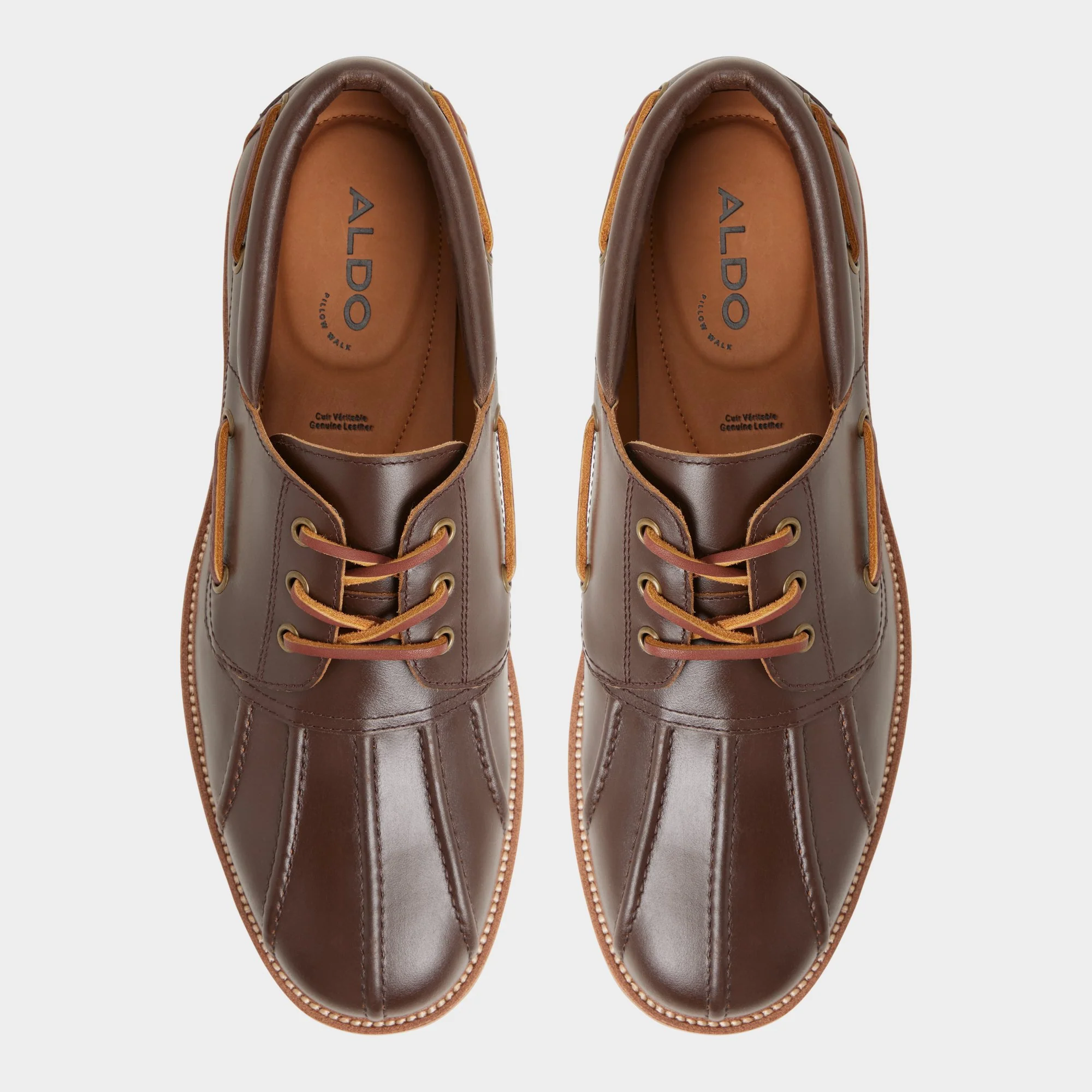 Finn - Image 6