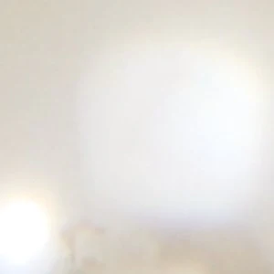 Flowerclip - Image 3