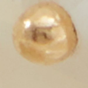 Foiwia - Image 3