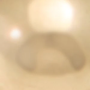 Foreverr - Image 2