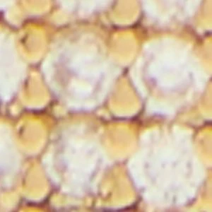 Futuresobright - Image 2