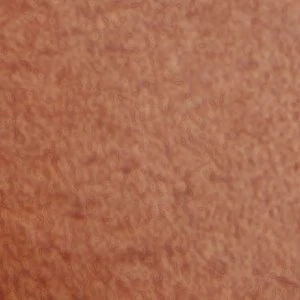 Gwajar - Image 8