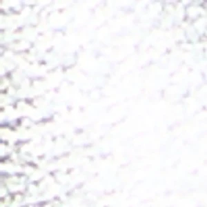 Harborchic - Image 8