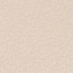 Hazie - Image 7