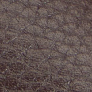 Horton-in - Image 9