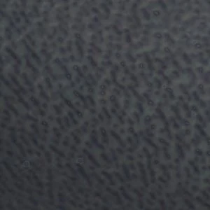 Iliria - Image 8