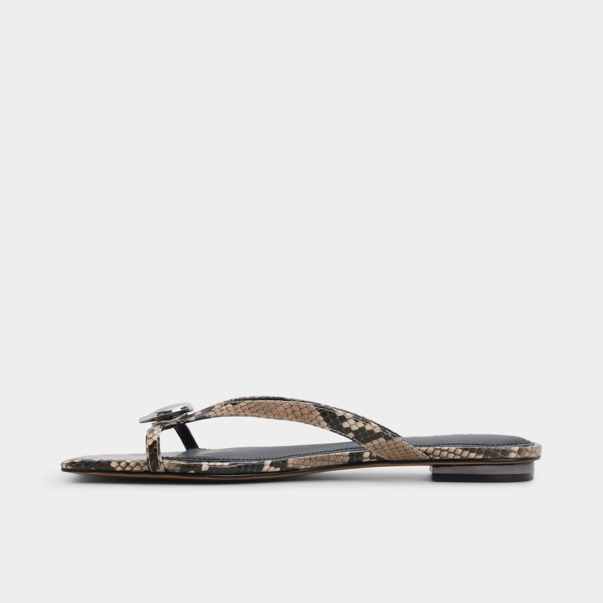Iliria - Image 3