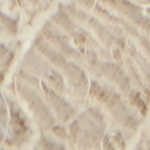 Itsneaker - Image 8