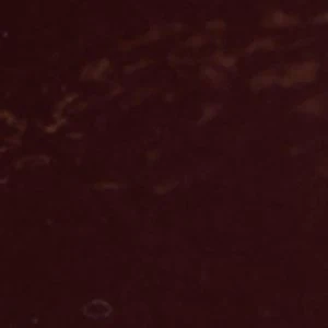 Joma - Image 8