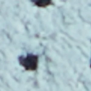 Journey - Image 9