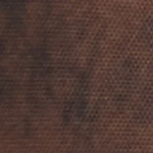 Kaydia - Image 6