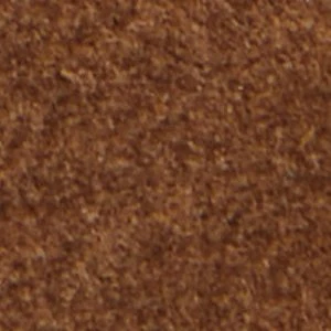 Kole - Image 9