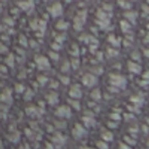 Lagoon - Image 8