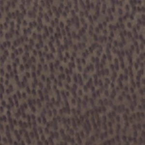 Leandra - Image 7