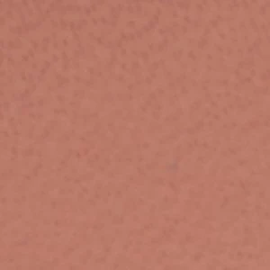 Leandra - Image 7