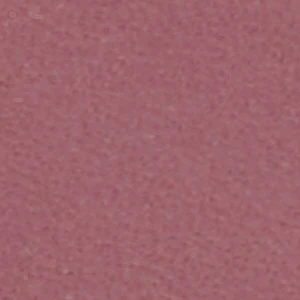 Leonnia - Image 7