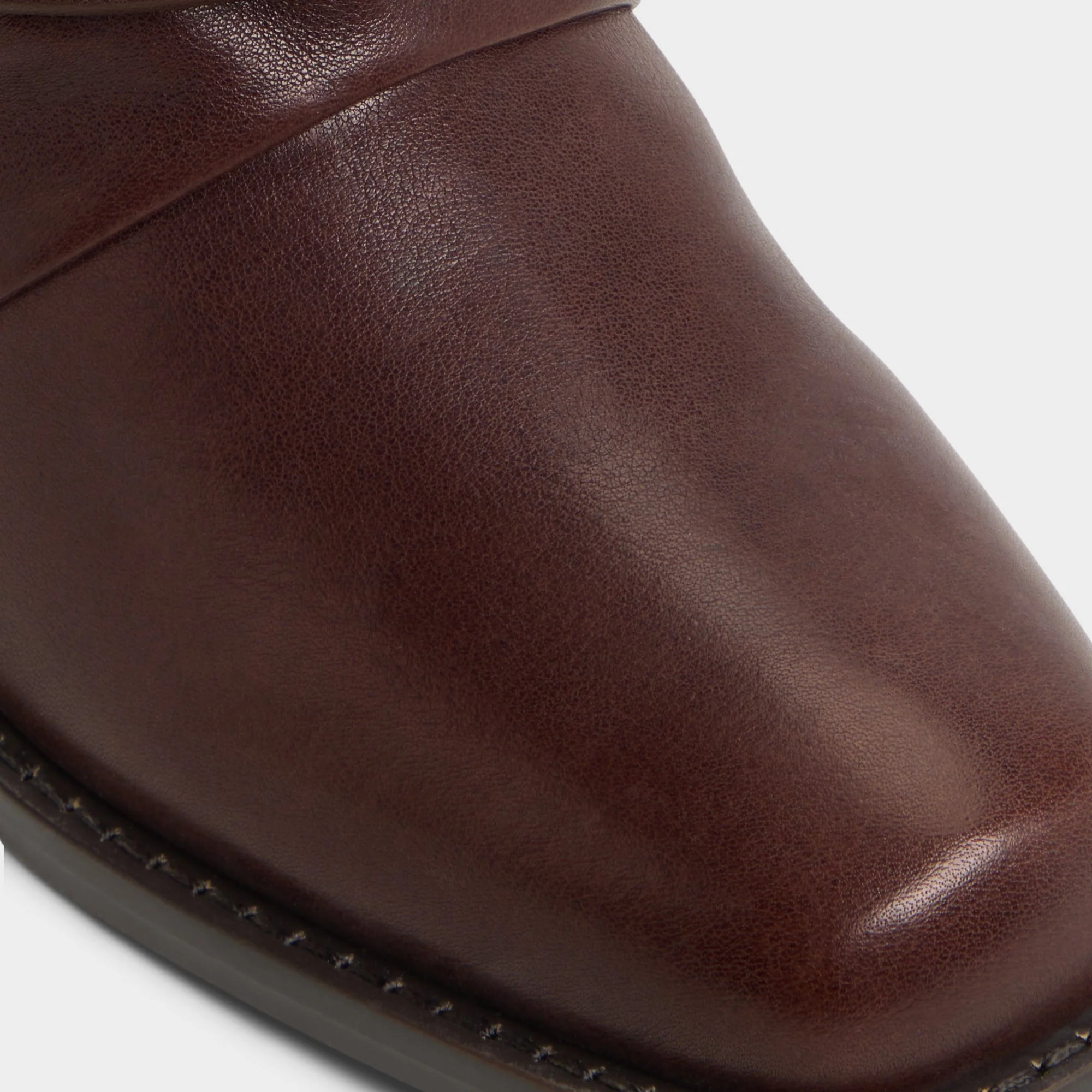 Longhorn - Image 7