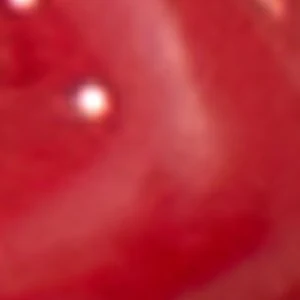 Loverchain - Image 2