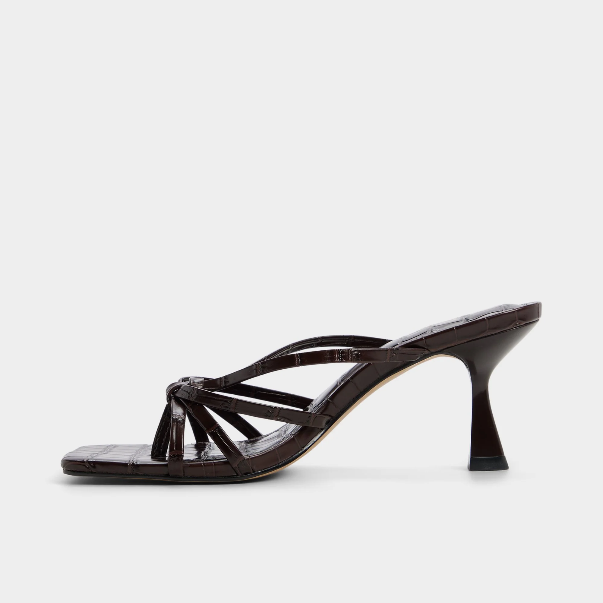Lumera - Image 3