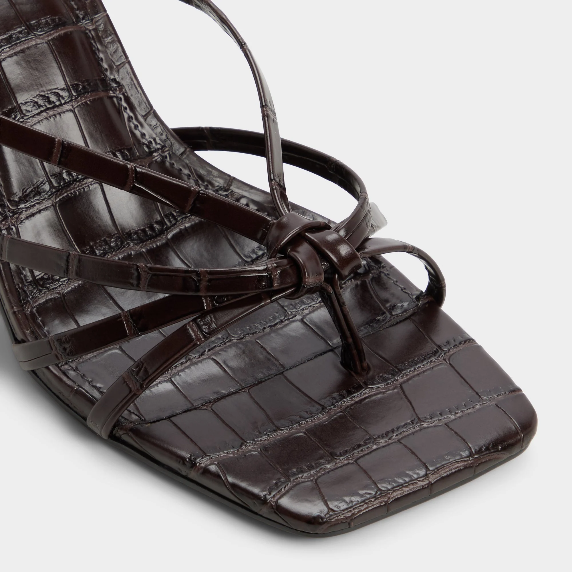 Lumera - Image 5