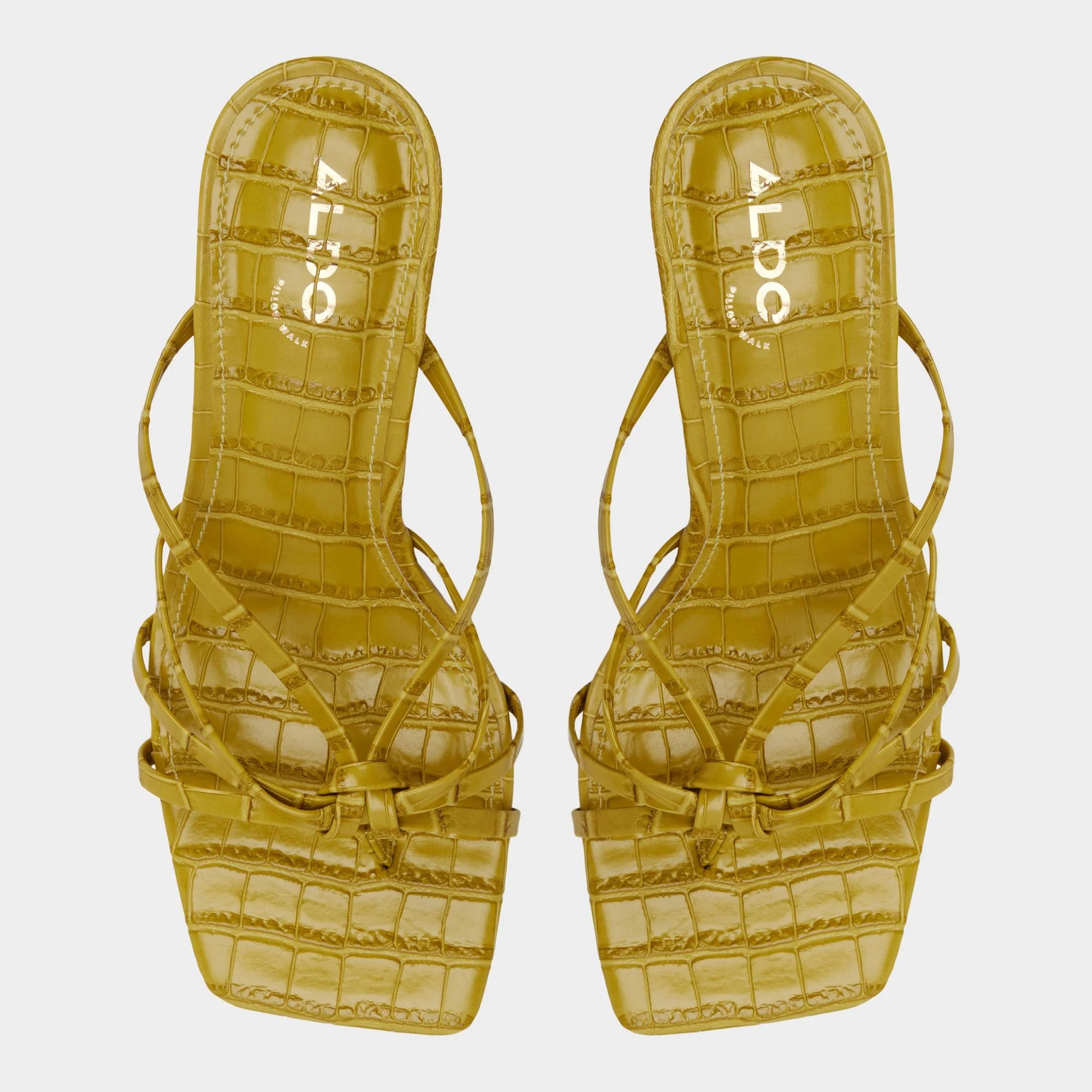 Lumera - Image 6