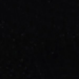 Madalyn - Image 7