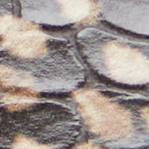 Magnus - Image 8