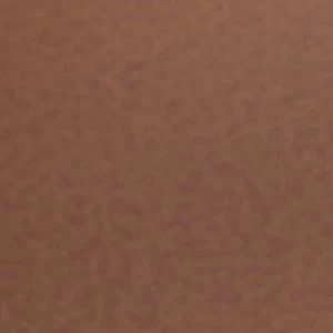 Marisea - Image 7