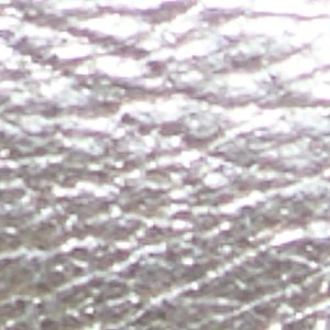Maxie - Image 7