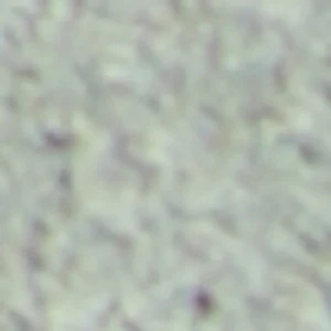 Mikal - Image 9