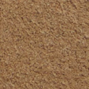 Montie - Image 10