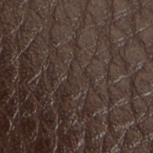 Montie - Image 10